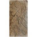 Dekoracyjny panel polerowany Marmur Rain Forest Brown 61x30,5x1,2 cm