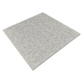 Dekoracyjny naturalny kamień New Bianco Sardo granit płomieniowany 60x60x2cm